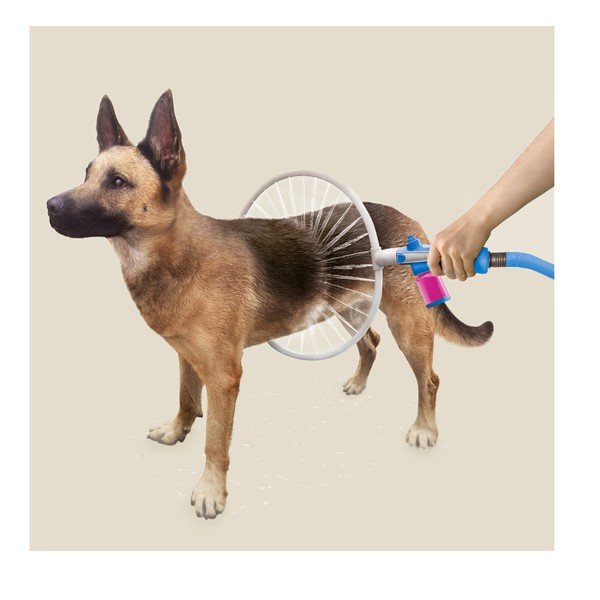 Mazgāšanas gredzens suņiem InnovaGoods-image-1