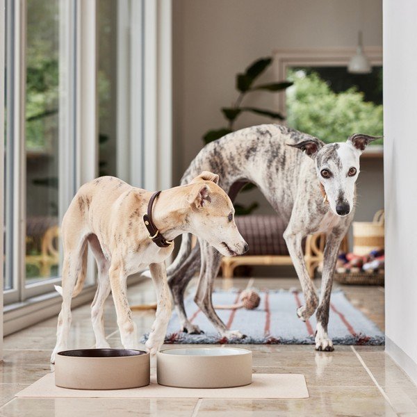 Keramikas mājdzīvnieku bļodiņa suņiem ø 17 cm Sia – OYOY Living Design-image-1