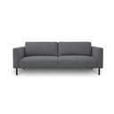 Tumši pelēks dīvāns 229 cm Hero – Scandic
