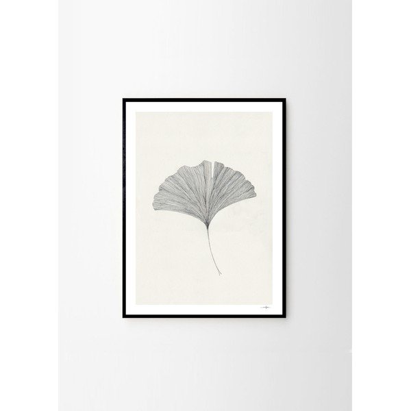 Plakāts 50x70 cm Ginkgo Leaf – Ana Frois – The Poster Club-image-3