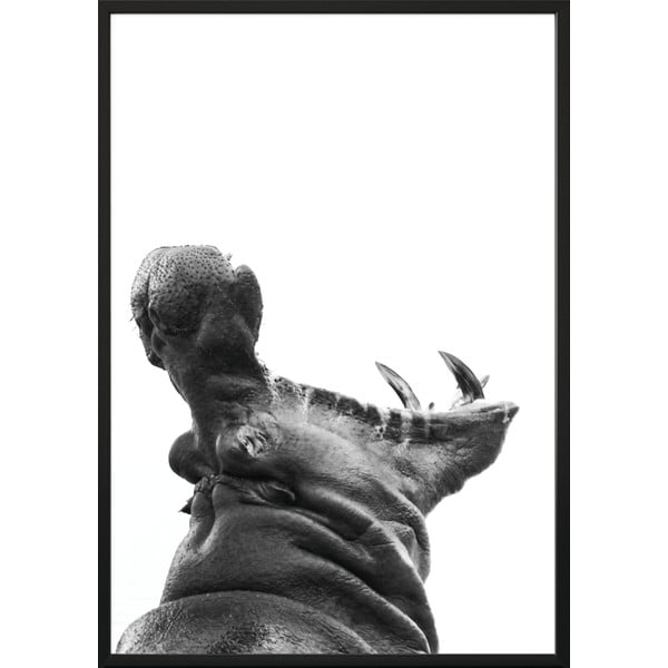 Plakāts DecoKaralis Hipopotams, 100 x 70 cm