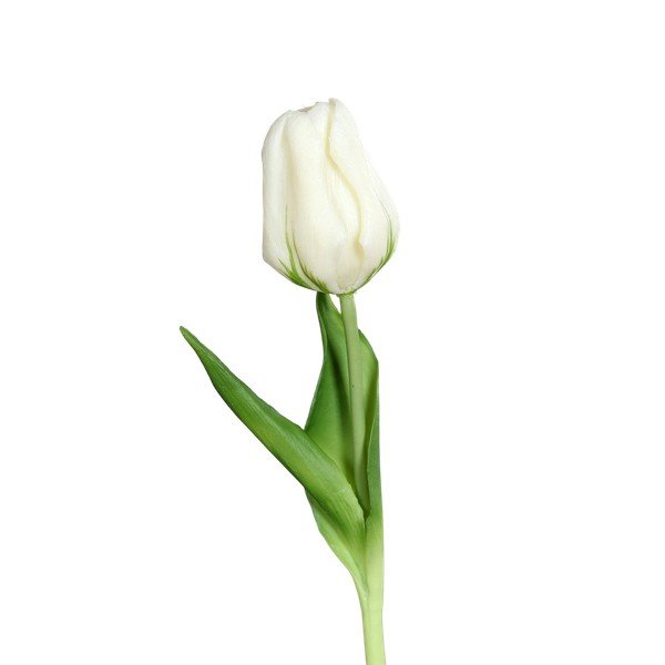 Mākslīgais augs (augstums 20 cm) Tulip – Ego Dekor