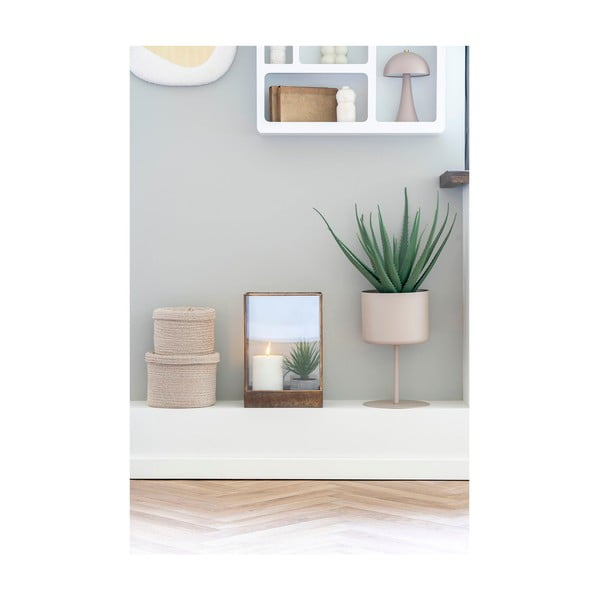 Mākslīgais augs (augstums 51 cm) Aloe Vera – House Nordic-image-2