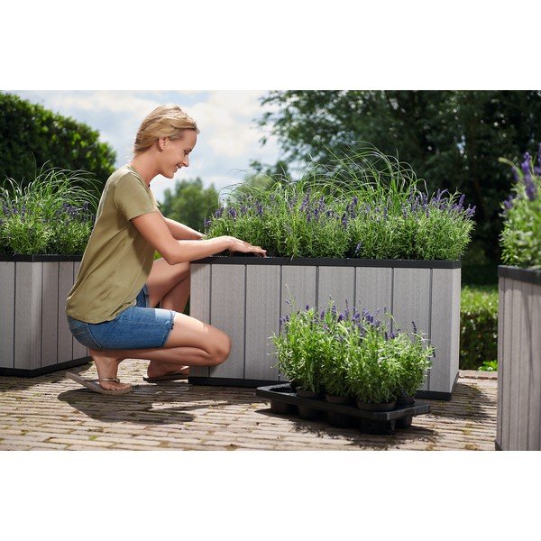 Paaugstināta dārza dobe Sequoia Duotech – Keter-image-3