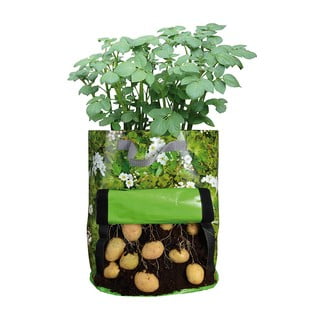 Kartupeļu audzētava Esschert Design Green