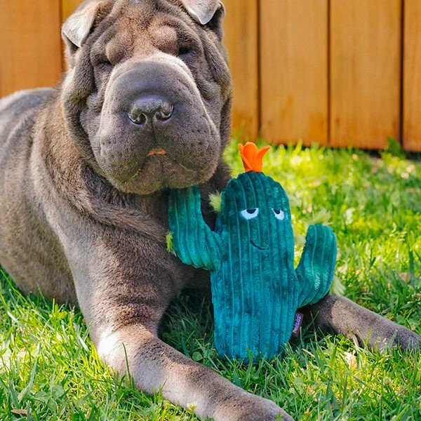 Rotaļlieta sunim Cactus - P.L.A.Y.-image-1