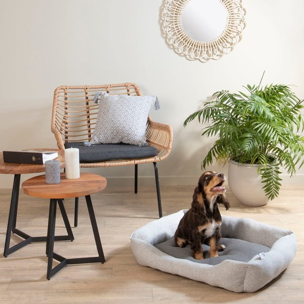 Gaiši pelēka mājdzīvnieku gulta suņiem 60x48 cm Graphene – Love Story-image-1