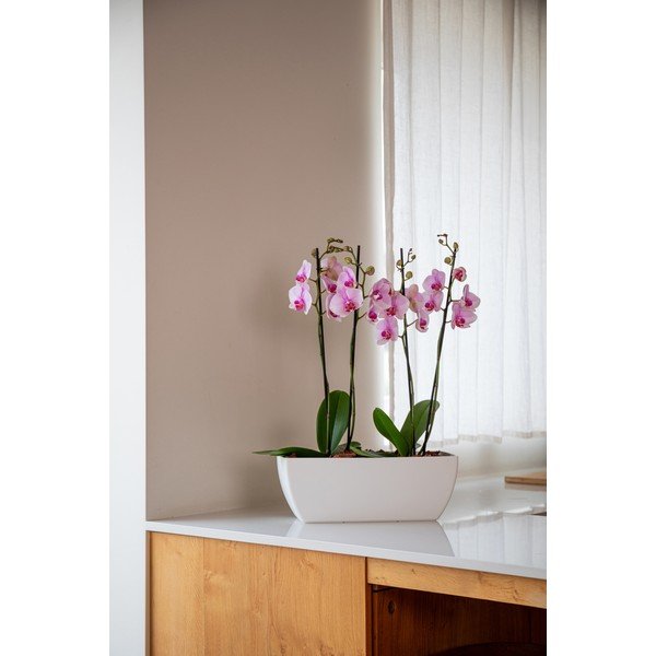 Pārstrādātas plastmasas puķu kaste 40 cm Siena – Artevasi-image-1
