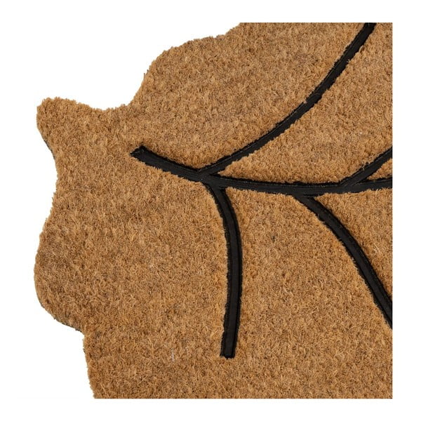 Kokosšķiedras kājslauķis 45x75 cm Leaf – Casa Selección-image-3