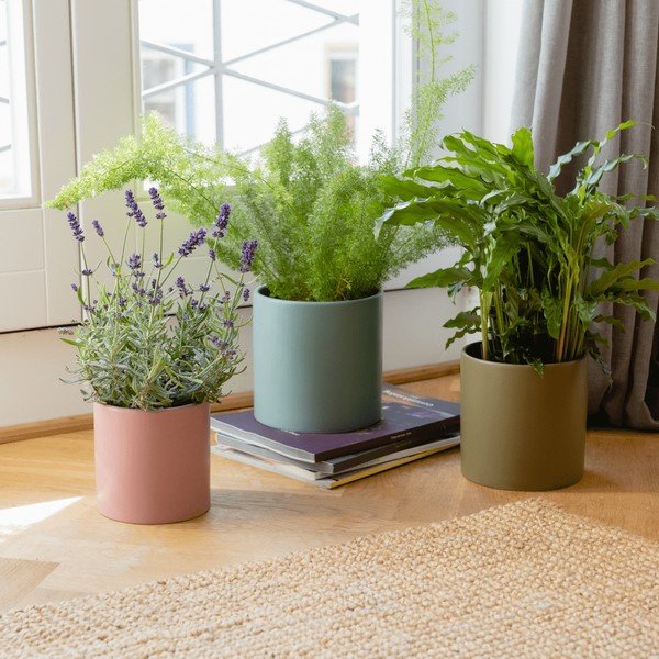 Porcelāna puķu poda apvalki garšaugiem (3 gab.) ø 17 cm Turin – Remember-image-1