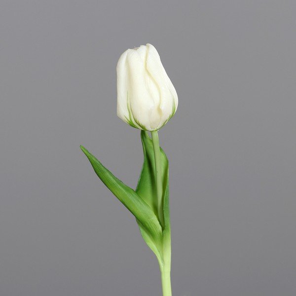 Mākslīgais augs (augstums 20 cm) Tulip – Ego Dekor
