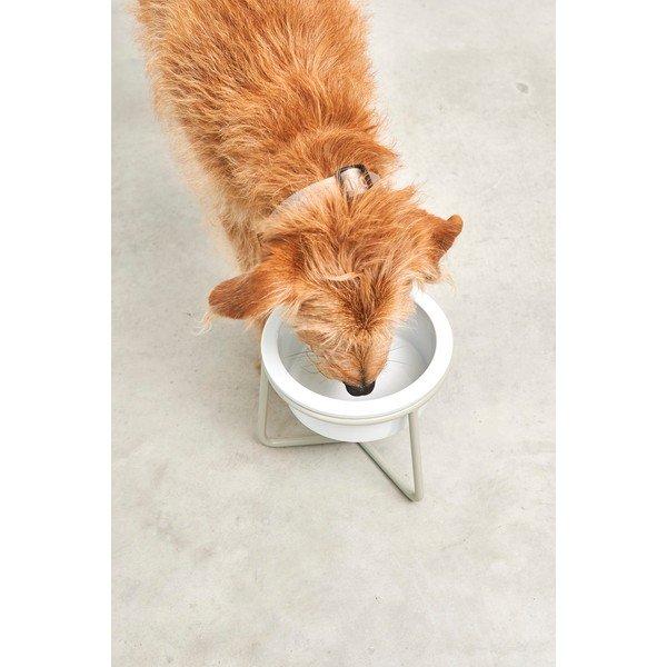 Porcelāna bļodiņa ar pamatni suņiem ø 20 cm Pranzo Greige M – MiaCara-image-3