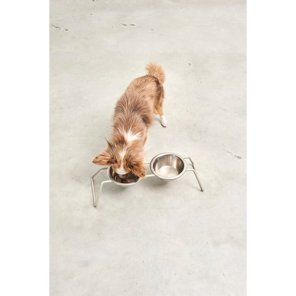 Nerūsējošā tērauda bļodiņu komplekts ar pamatni suņiem Cena Greige M – MiaCara-image-2