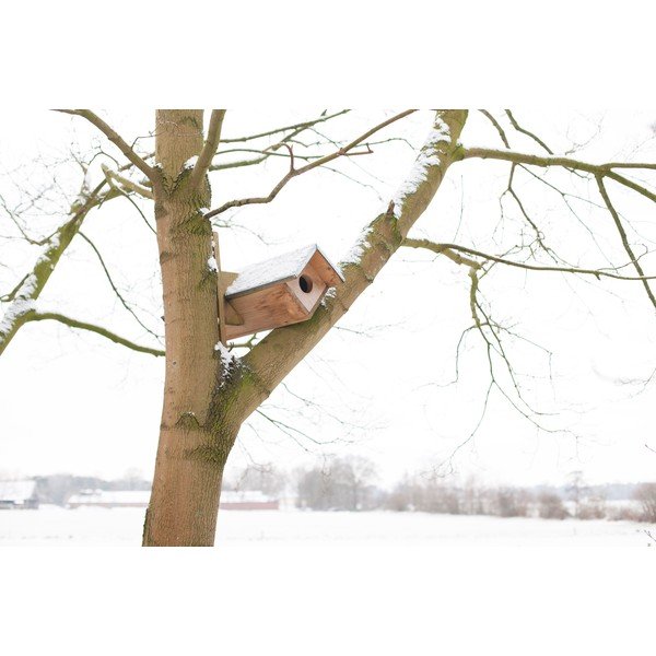 Koka pūču būda – Esschert Design-image-2