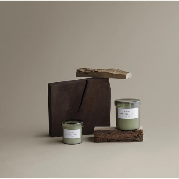 Aromātiskā sojas vaska svece degšanas laiks 45 h Valoa Fig Tree – Lime – Blomus-image-1