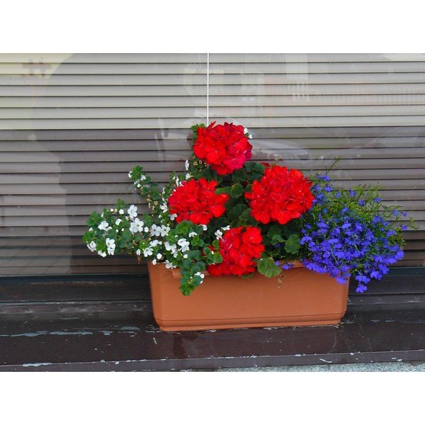 Brūns pašlaistošs puķu pods Plastia Siesta, garums 60 cm-image-1