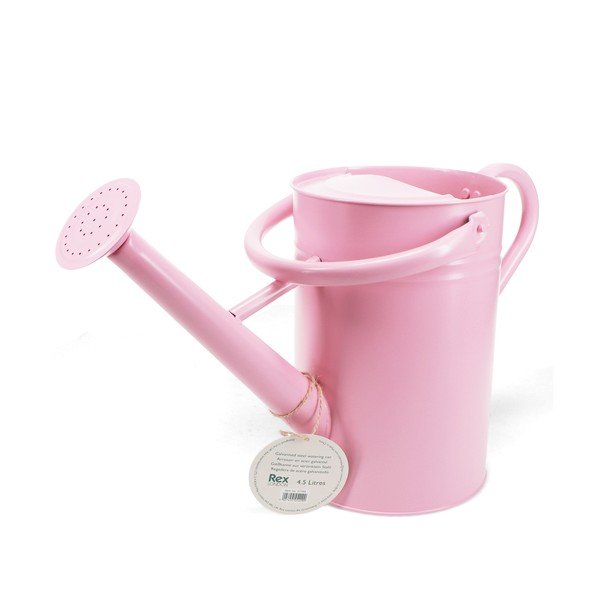 Metāla lejkanna 4,5 l – Rex London-image-2