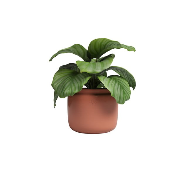 Keramikas ar rokām radīts puķu pods ø 20 cm Astrea – Artevasi-image-4