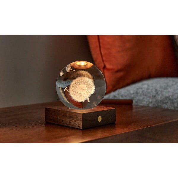 Tumši brūns gaismas dekors ar USB Amber – Gingko-image-1