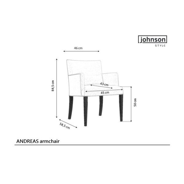 JohnsonStyle Andreas zils krēsls-image-1