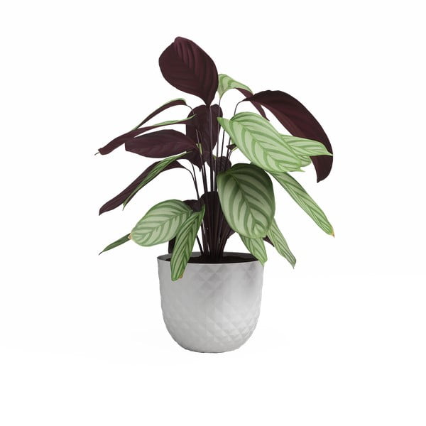 Puķu pods no pārstrādātas plastmasas ø 20 cm Havana – Artevasi-image-2