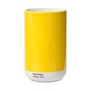 Dzeltena keramikas vāze Yellow 012 – Pantone