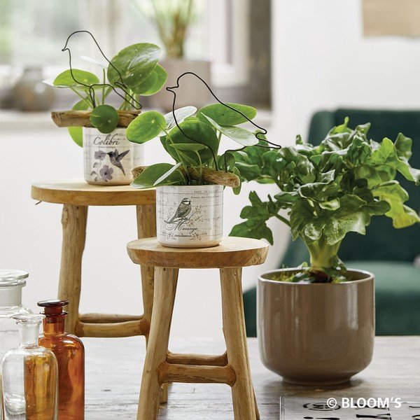 Brūns keramikas puķu pods Big Pots Bari, ø 19 cm-image-1