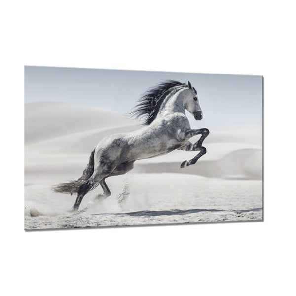 Bilde Styler Glasspik Glasspik Animals Horse, 80 x 120 cm
