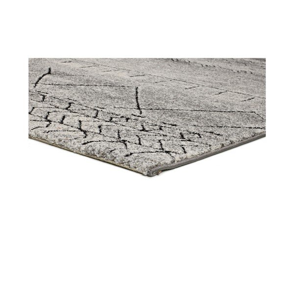 Pelēks paklājs Universal Hydra Grey, 140 x 200 cm-image-2