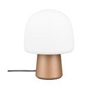 Balta/bronzas krāsas galda lampa ar stikla abažūru (augstums 27 cm) Steen – Trio