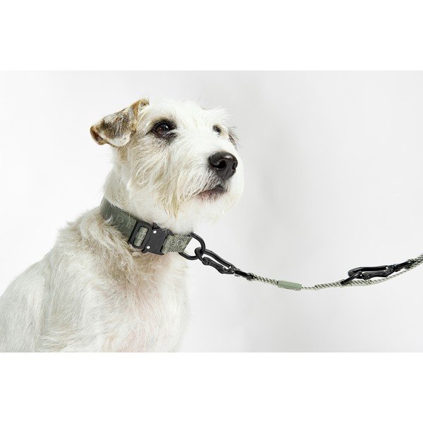 Tumši pelēka kaklasiksna S/M garums 32 cm Modena Asphalt S/SM – MiaCara-image-1