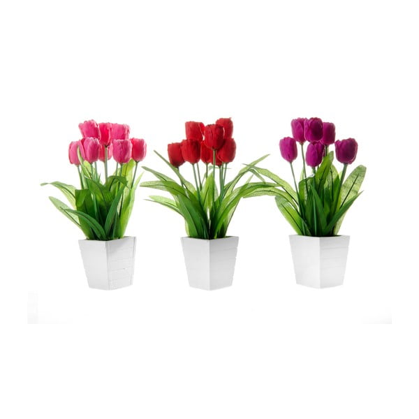 3 ziedu rotājumu komplekts Casa Selección Tulip