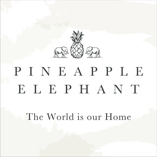 Brūni aizkari (2 gab.) 168x137 cm Suri Geo – Pineapple Elephant-image-4