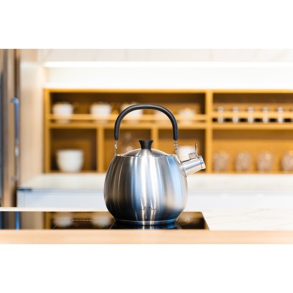 Sudraba krāsas nerūsējošā tērauda tējkanna ar svilpi Vialli Design Bolla, 2,5 l-image-1