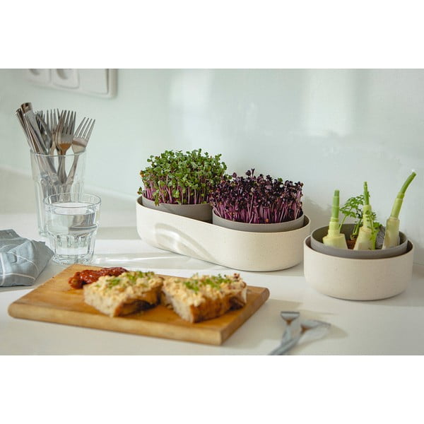 Diedzēšanas trauks, ø 16 cm Regrow – Plastia-image-4