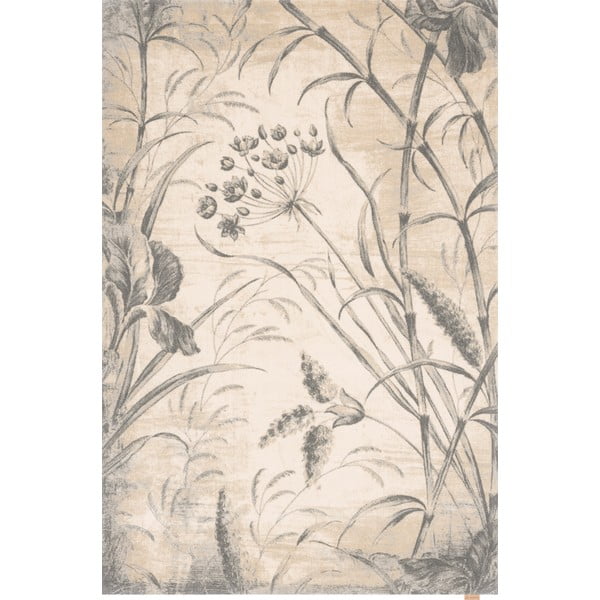 Krēmkrāsas vilnas paklājs 200x300 cm Botany – Agnella