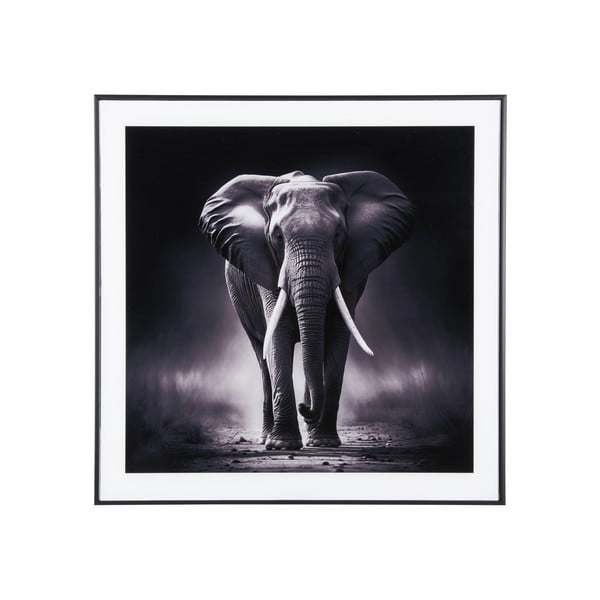 Glezna 50x50 cm  Elephant  – PT LIVING