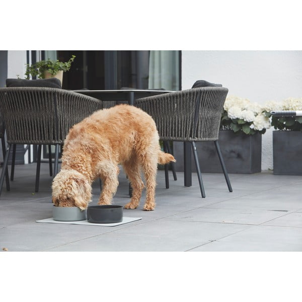 Porcelāna mājdzīvnieku bļodiņa suņiem ø 16 cm Scodella Graphite S/M – MiaCara-image-1