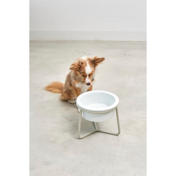 Porcelāna bļodiņa ar pamatni suņiem ø 20 cm Pranzo Greige M – MiaCara-image-1