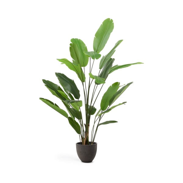 Mākslīgais banānkoks (augstums 210 cm) – Kave Home