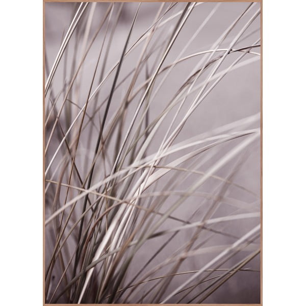 Plakāts ar rāmi 50x70 cm Mellow Grasses 1 – Malerifabrikken