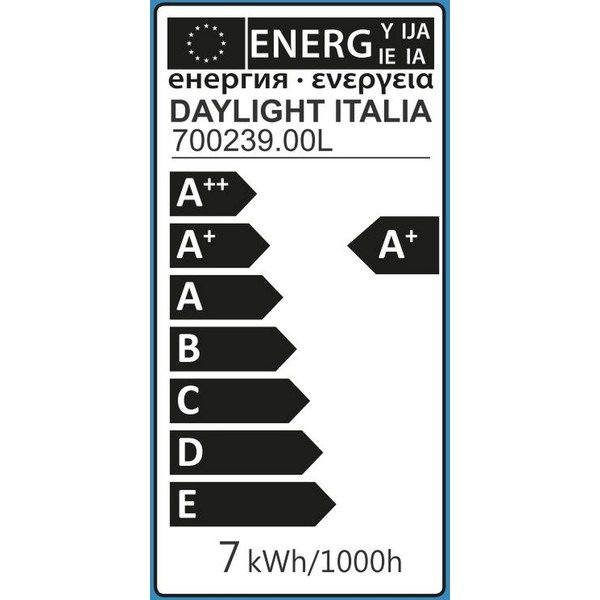 Caurspīdīga spuldze Homemania Long Filament XXL-image-2