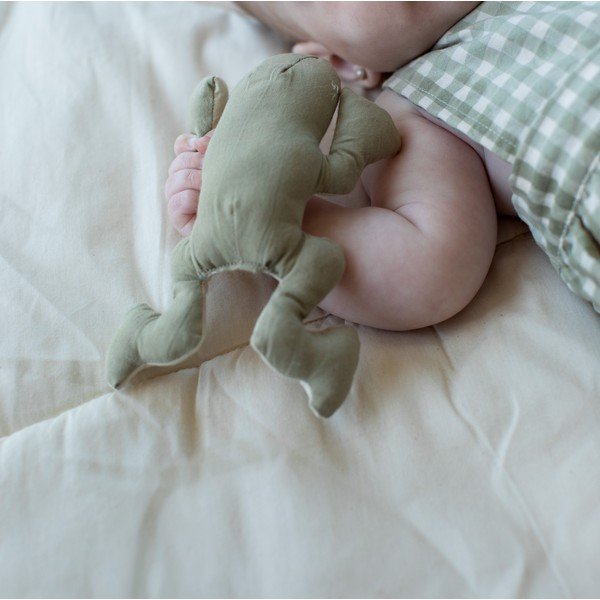 Grabulīši (3 gab.) Lily Pond – Lorena Canals-image-3