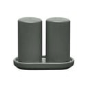 Sāls un piparu trauks ar statīvu Pilar – Blomus