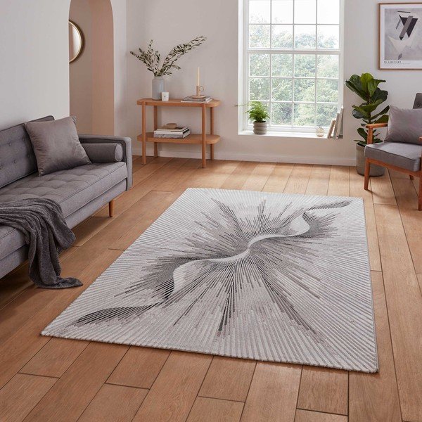 Pelēks paklājs 120x170 cm Creation – Think Rugs-image-1