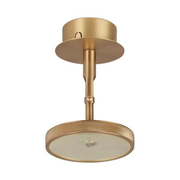 Zelta krāsas LED prožektora tipa lampa ø 12 cm Asteria Spot – UMAGE