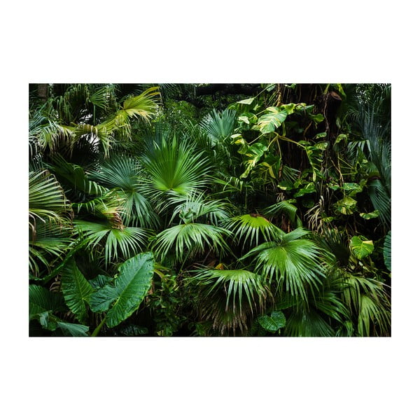 Lielformāta tapetes Artgeist Sunny Jungle, 400 x 280 cm