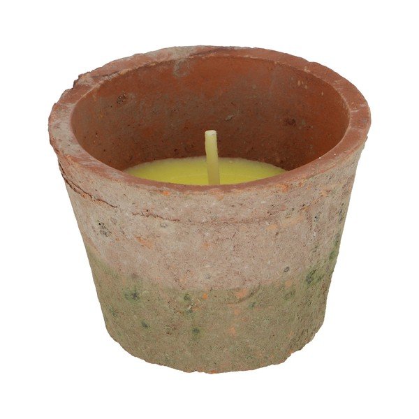 Aromātiskā svece degšanas laiks 10 h Citronelle – Esschert Design-image-3