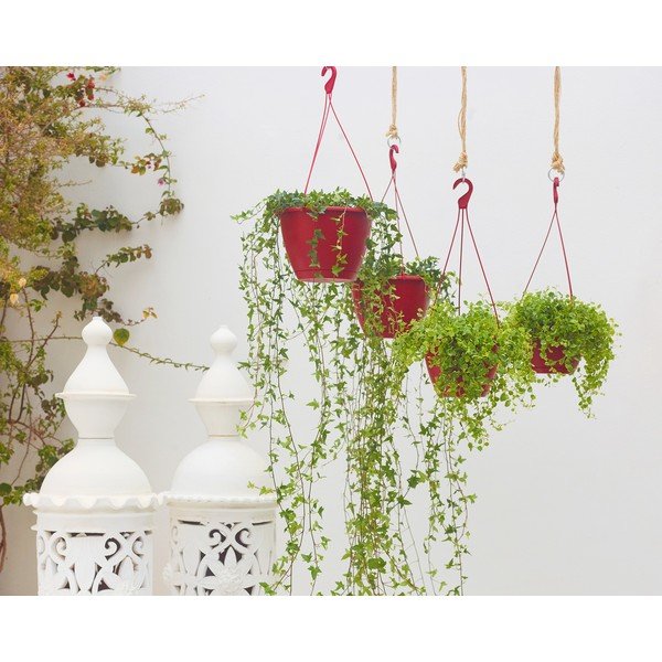 Plastmasas puķu pods ø 31 cm Algarve – Artevasi-image-1