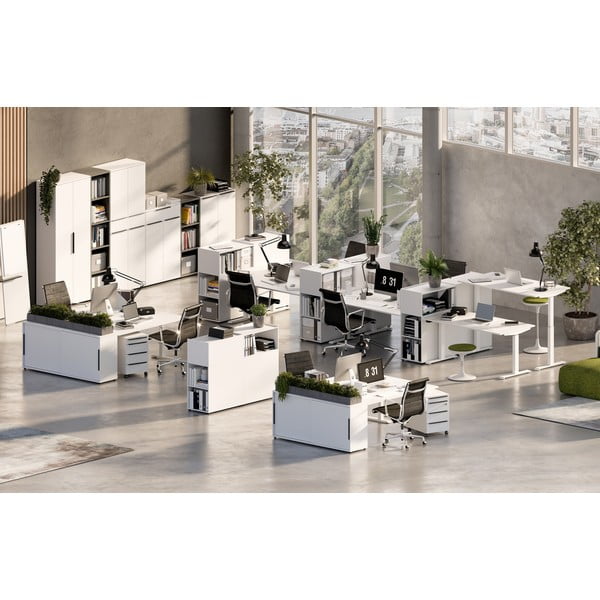 Darba galds ar regulējamu augstumu 80x160 cm Mailand – Germania-image-2